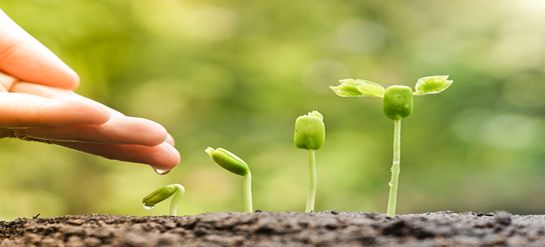 Carbon Credit Carbon Credit