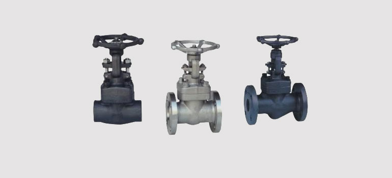 Forged Steel Valves Manufacturer